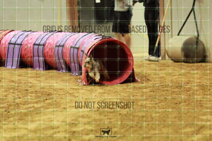 Aurora_Julius_Wednesday_Speedstakes_Semi_Final_100_RR_0028
