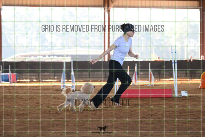 Aurora_Sloan_Friday_MastersJumpingFinal_153_AS_2134