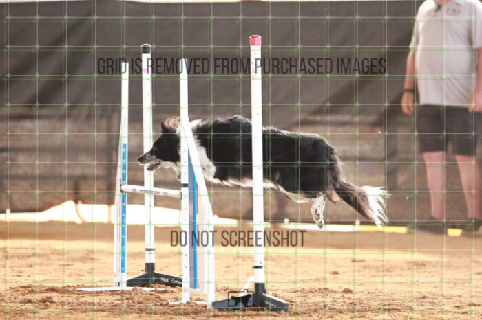 Blaze_Biroc_Friday_MastersJumpingFinal_129_JC_0920