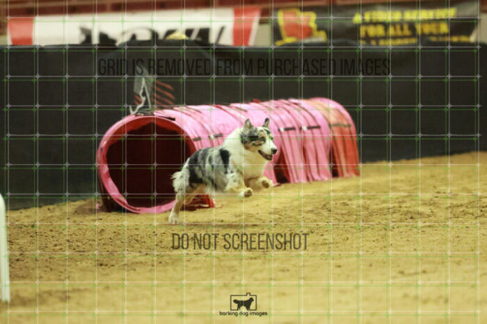 Denali_Linsinbigler_Wednesday_Speedstakes_Semi_Final_243_RR_5556