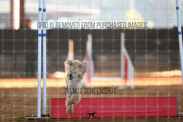 Aurora_Sloan_Friday_MastersJumpingFinal_153_AS_2161