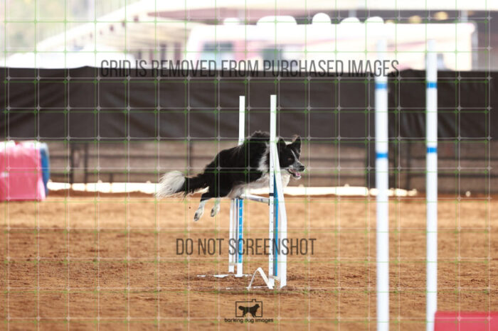Blaze_Biroc_Friday_MastersJumpingFinal_129_JC_0937