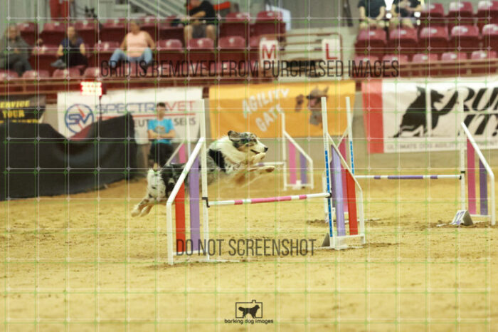 Denali_Linsinbigler_Wednesday_Speedstakes_Semi_Final_243_RR_5559
