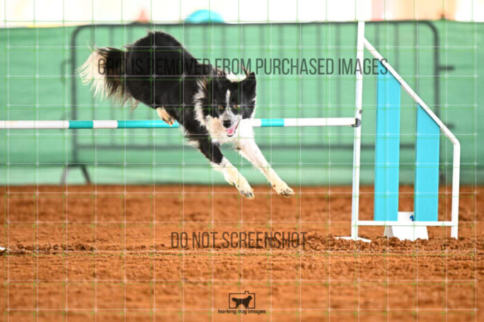 Blaze_Biroc_Friday_Round2Jumping_515_KG_6706