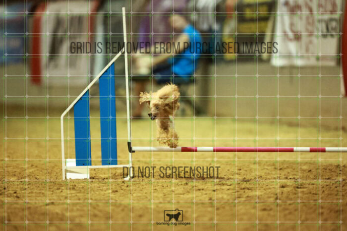 Aurora_Sloan_Speedstakes_Finals_119_0469