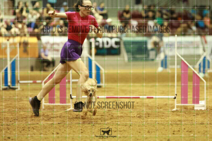 Aurora_Sloan_Speedstakes_Finals_119_0475