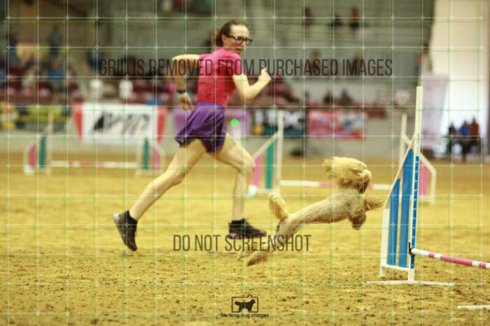 Aurora_Sloan_Speedstakes_Finals_119_0488