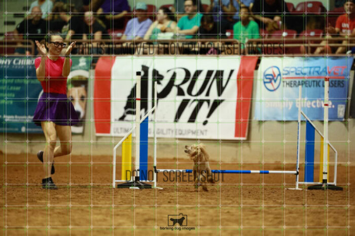 Aurora_Sloan_Thursday_Speedstakes_Finals_115_VW_1366