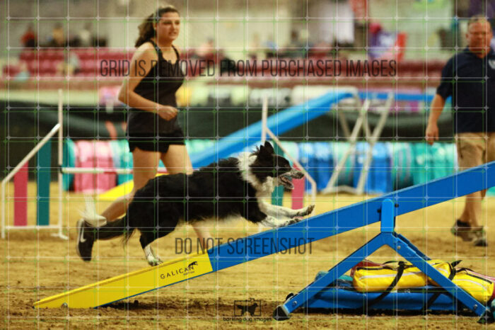 Blaze_Biroc_Thursday_Masters_Agility_Heat_169_SH_3020