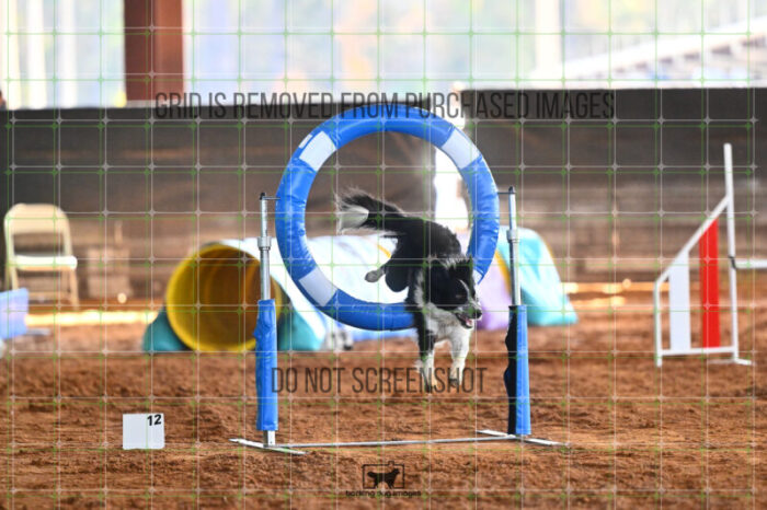 Blaze_Biroc_Thursday_Masters_Jumping_Heat_230_LB_2485
