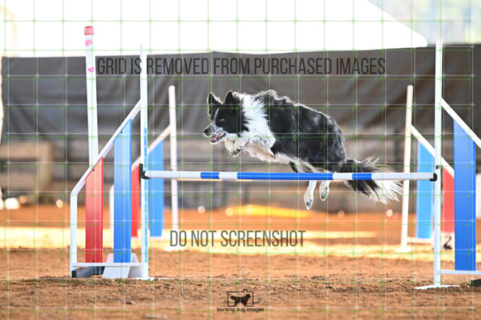 Blaze_Biroc_Wednesday_Speedstakes_SemiFinal_281_KG_4346