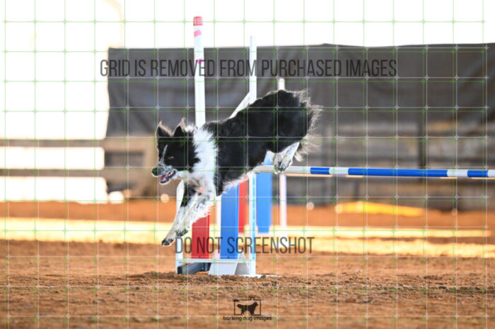 Blaze_Biroc_Wednesday_Speedstakes_SemiFinal_281_KG_4350