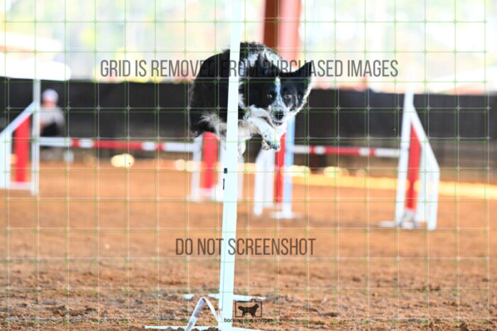 Blaze_Biroc_Wednesday_Speedstakes_SemiFinal_281_KG_4358