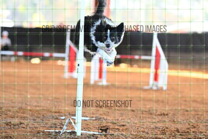 Blaze_Biroc_Wednesday_Speedstakes_SemiFinal_281_KG_4359