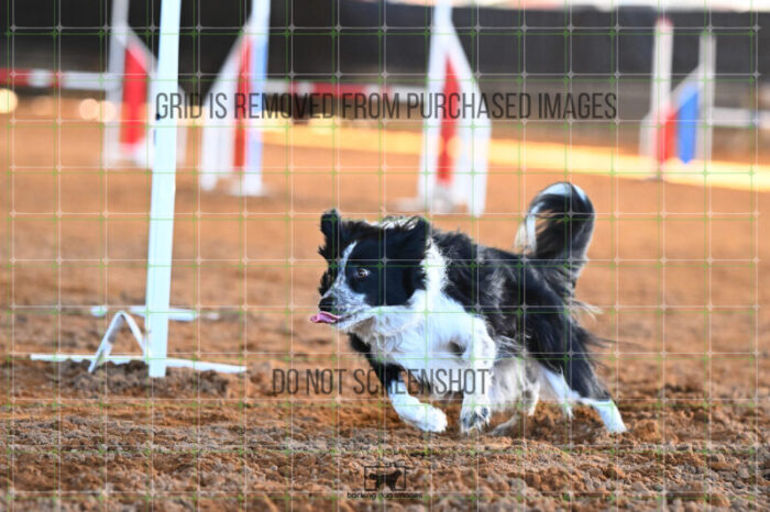 Blaze_Biroc_Wednesday_Speedstakes_SemiFinal_281_KG_4366