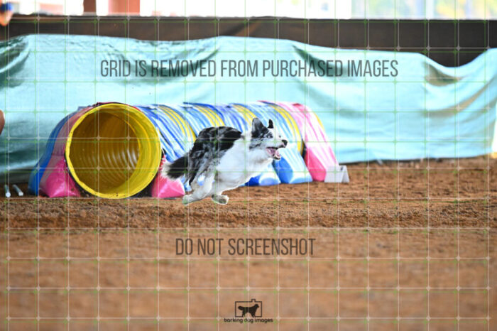 Bee_M_Novick_Wednesday_Speedstakes_SemiFinal_215_2_KG_9160