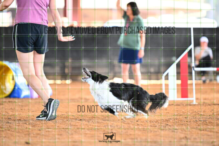 Blaze_Biroc_Wednesday_Speedstakes_SemiFinal_281_KG_4396