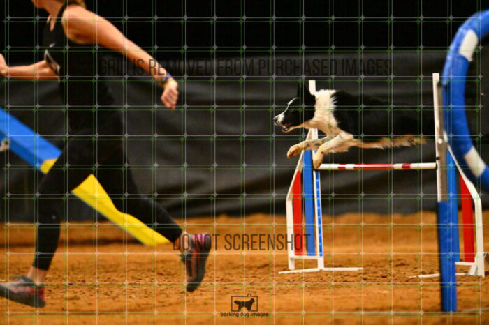 Ayr_Jordan_Scott_NationalsRound1_360_KG_3766