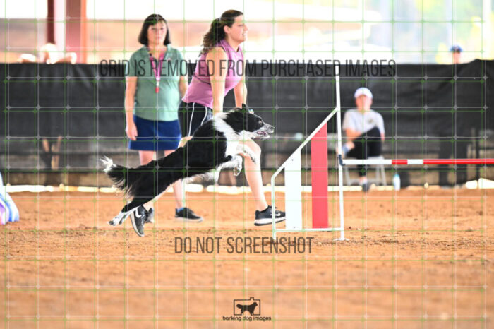Blaze_Biroc_Wednesday_Speedstakes_SemiFinal_281_KG_4425