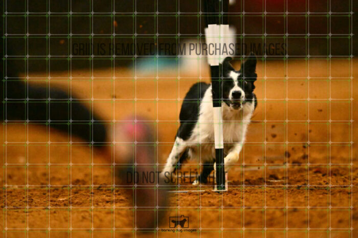 Ayr_Jordan_Scott_NationalsRound1_360_KG_3820