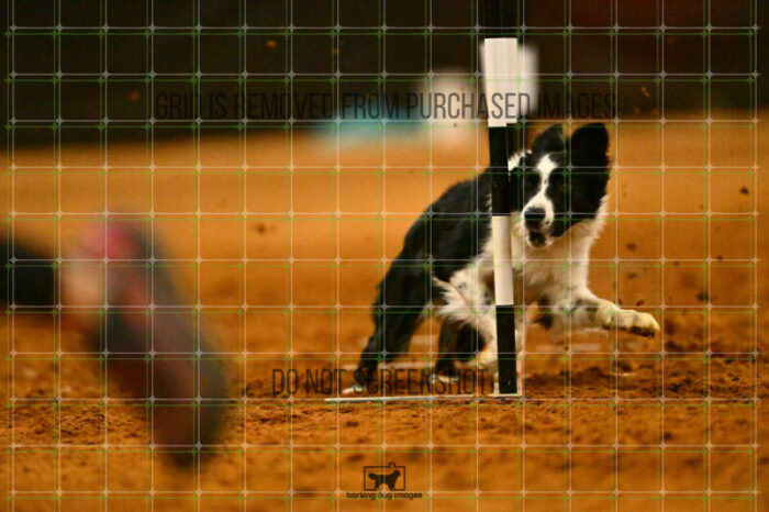 Ayr_Jordan_Scott_NationalsRound1_360_KG_3821