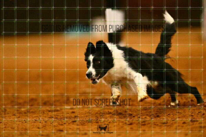 Ayr_Jordan_Scott_NationalsRound1_360_KG_3826