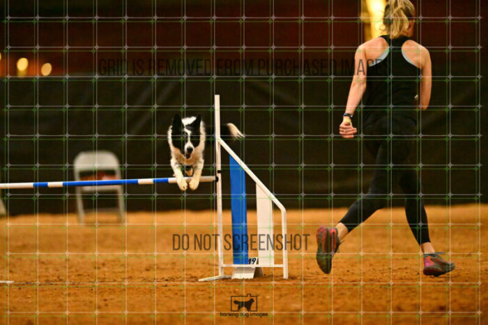 Ayr_Jordan_Scott_NationalsRound1_360_KG_3873