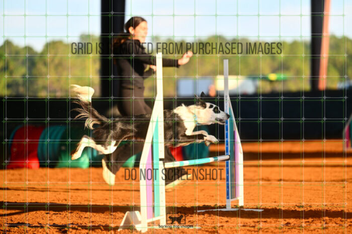 Blue_Jeans_Heidt_Friday_MastersJumpingFinal_114_LB_0380