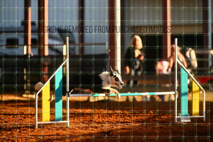 Blue_Jeans_Heidt_Friday_MastersJumpingFinal_114_LB_0383