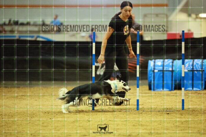 Blue_Jeans_Heidt_Friday_Round2Jumping_153_SH_1707
