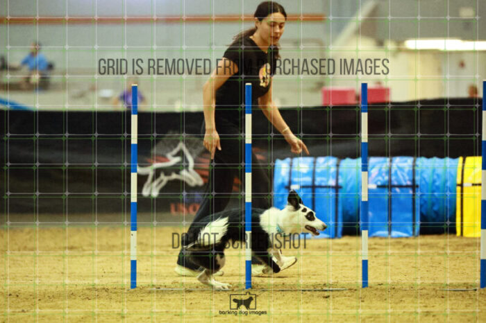 Blue_Jeans_Heidt_Friday_Round2Jumping_153_SH_1711