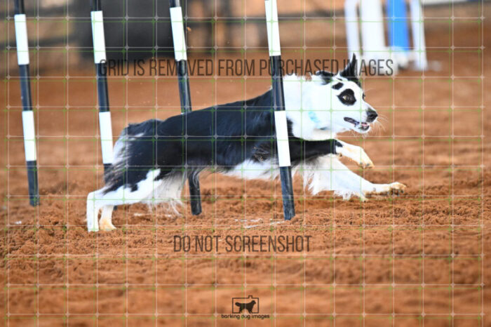 Blue_Jeans_Heidt_Saturday_WTAJumping_137_KG_7302