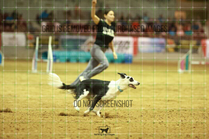 Blue_Jeans_Heidt_Speedstakes_Finals_168_1384