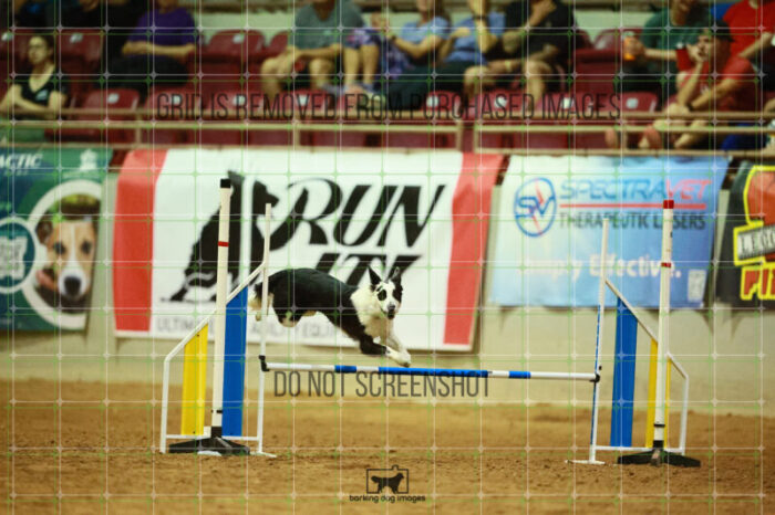 Blue_Jeans_Heidt_Thursday_Speedstakes_Finals_163_VW_4036