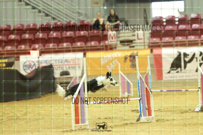 Blue_Jeans_Heidt_Wednesday_Speedstakes_Semi_Final_352_RR_9476