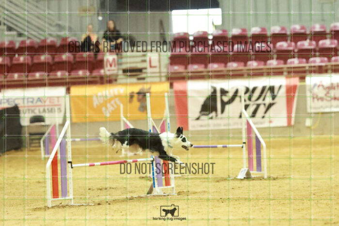 Blue_Jeans_Heidt_Wednesday_Speedstakes_Semi_Final_352_RR_9478