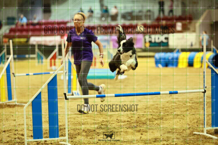 Bonnie_Blue_Hildreth_Ring_2_Wednesday_Biathlon_Jumping_186_SH_3171