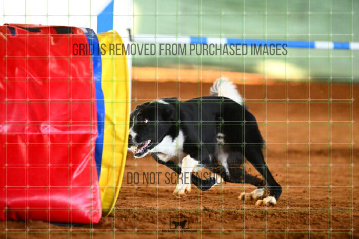 Brewsky_Davis_Friday_Round2Jumping_421_KG_7892