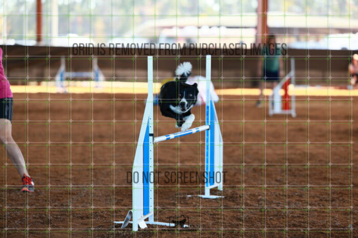Brewsky_Davis_Ring_6_Wednesday_Speedstakes_SemiFinal_259_JC_3709