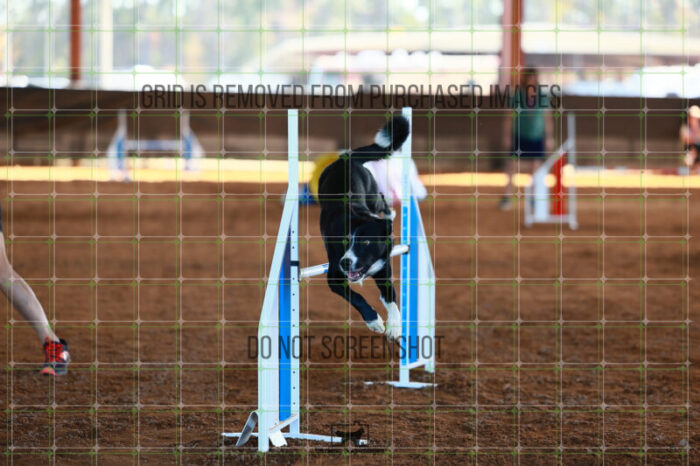 Brewsky_Davis_Ring_6_Wednesday_Speedstakes_SemiFinal_259_JC_3711