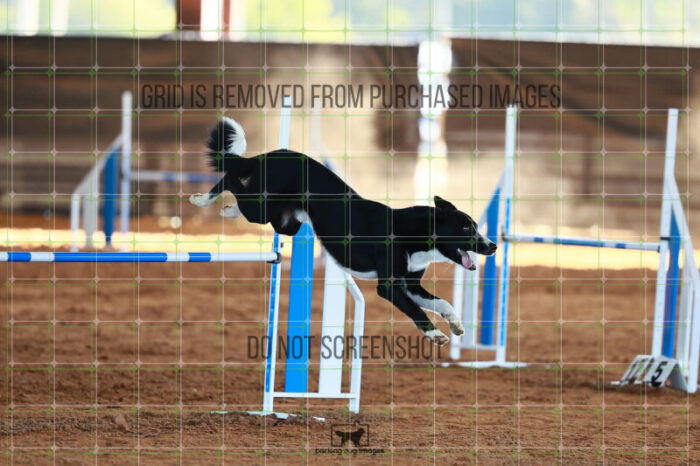 Brewsky_Davis_Ring_6_Wednesday_Speedstakes_SemiFinal_259_JC_3719