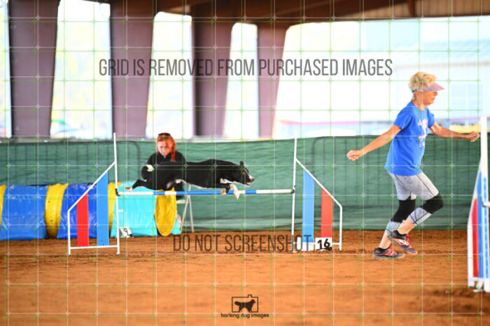 Brewsky_Davis_Saturday_WTAJumping_111_KG_5686