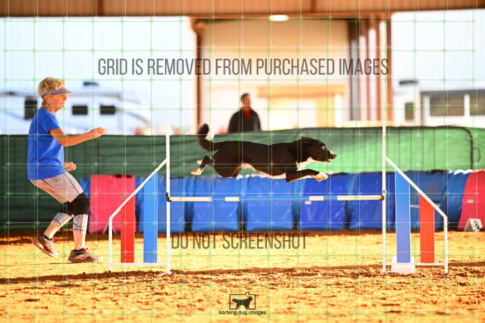 Brewsky_Davis_Saturday_WTAJumping_111_KG_5690