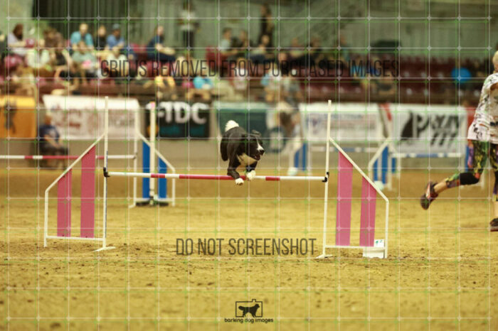 Brewsky_Davis_Speedstakes_Finals_223_2530
