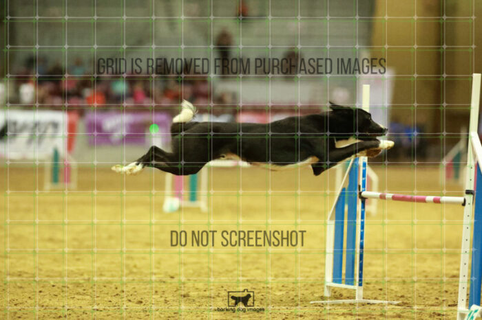 Brewsky_Davis_Speedstakes_Finals_223_2537