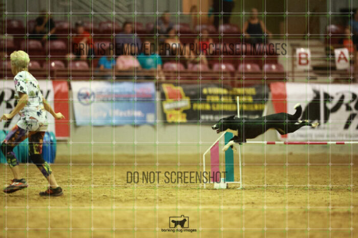 Brewsky_Davis_Speedstakes_Finals_223_2541