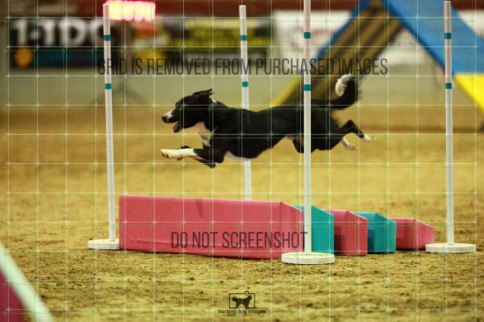 Brewsky_Davis_Sunday_NationalFinals_197_KO_2481