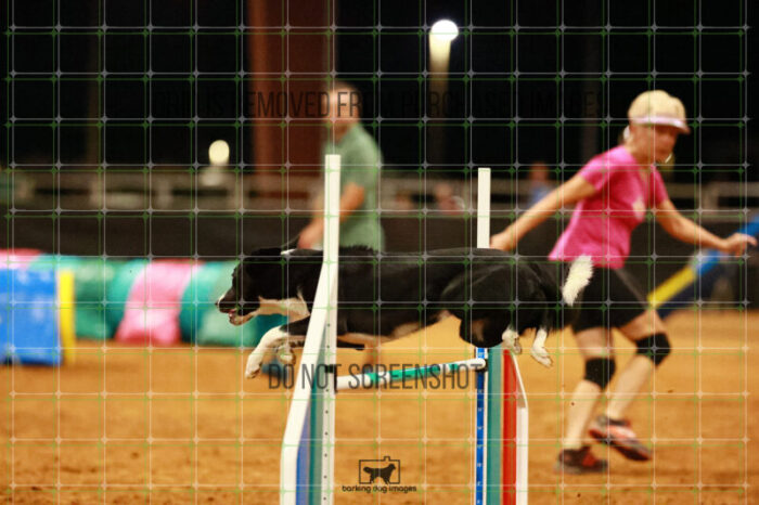 Brewsky_Davis_Wednesday_Round_1_Agility_191_JC_7215