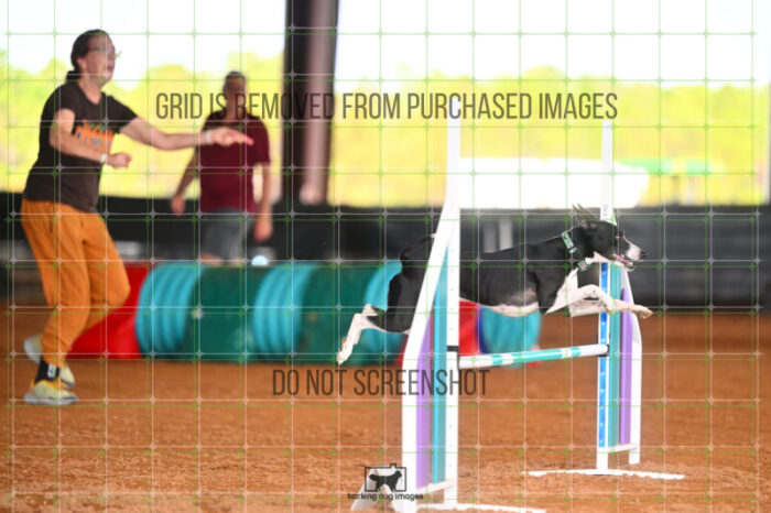 Budgie_Bigger_Friday_MastersJumpingFinal_242_LB_4010