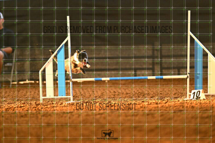 Thief_lazaro-sweeney_NationalsRound1_315_2_KG_8166
